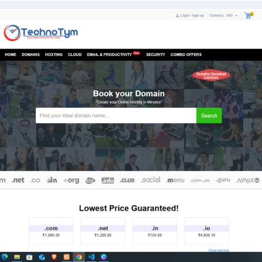 Domain & Hosting Services in Bangalore – Technotym
